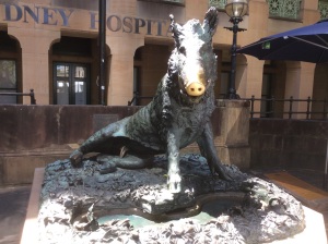 Look familliar? The same pig statue is in Florence - this one was brought to Sydney to have a bit of Italy in Australia